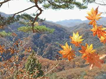 探索新奥门六和204年1月第3期开奖号码的神秘之旅澳门142期开奖结果