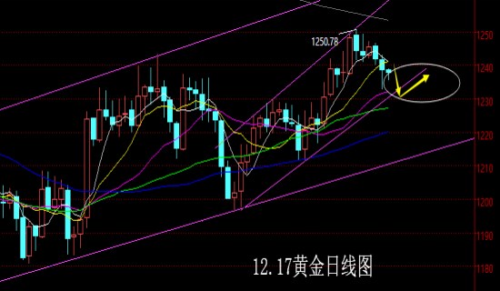 黄金，五十年风云变幻的财富守护者——黄金价格走势图深度剖析