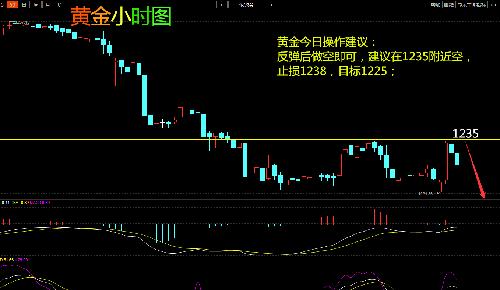 黄金，岁月的见证者——每年价格走势的深度剖析