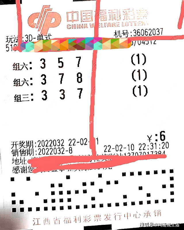 排列三3D试机号今日揭秘，数字游戏中的智慧与策略