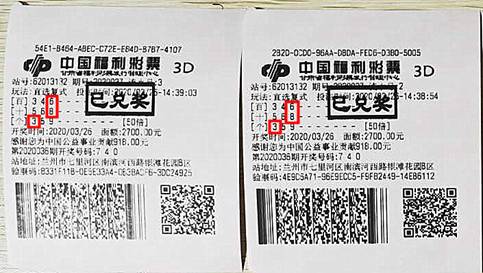 彩宝网3d开奖结果，揭秘数字游戏中的幸运与机遇