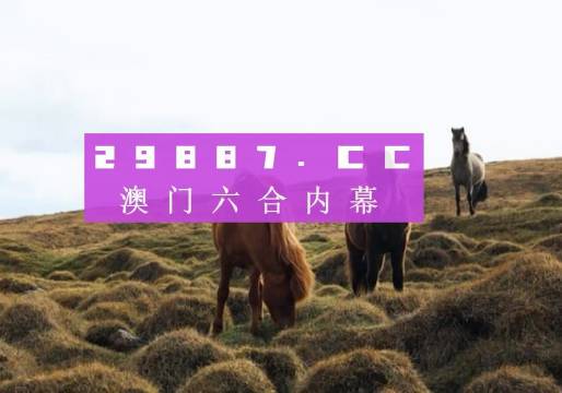 澳门开奖记录，2015年展望与回顾澳门开奖记录开奖结果2025今晚