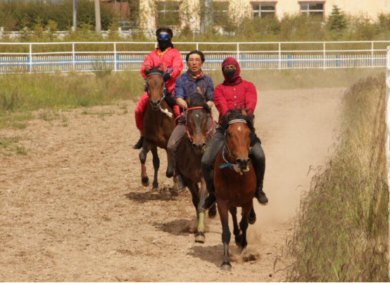 2019香港马会资料大全免费，探索赛马的魅力与文化香港2021年马会资料大全