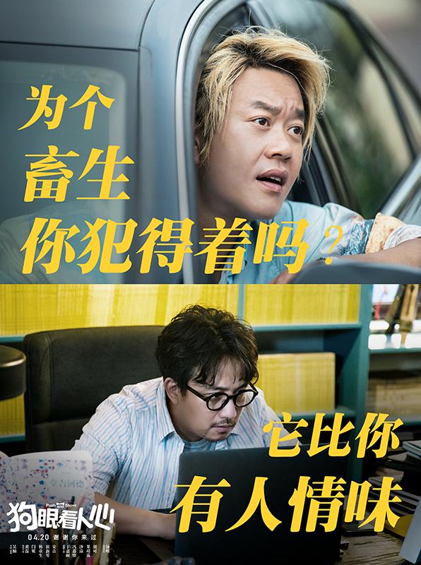 藏獒论坛，爱犬之友的交流圣地藏獒论坛板块
