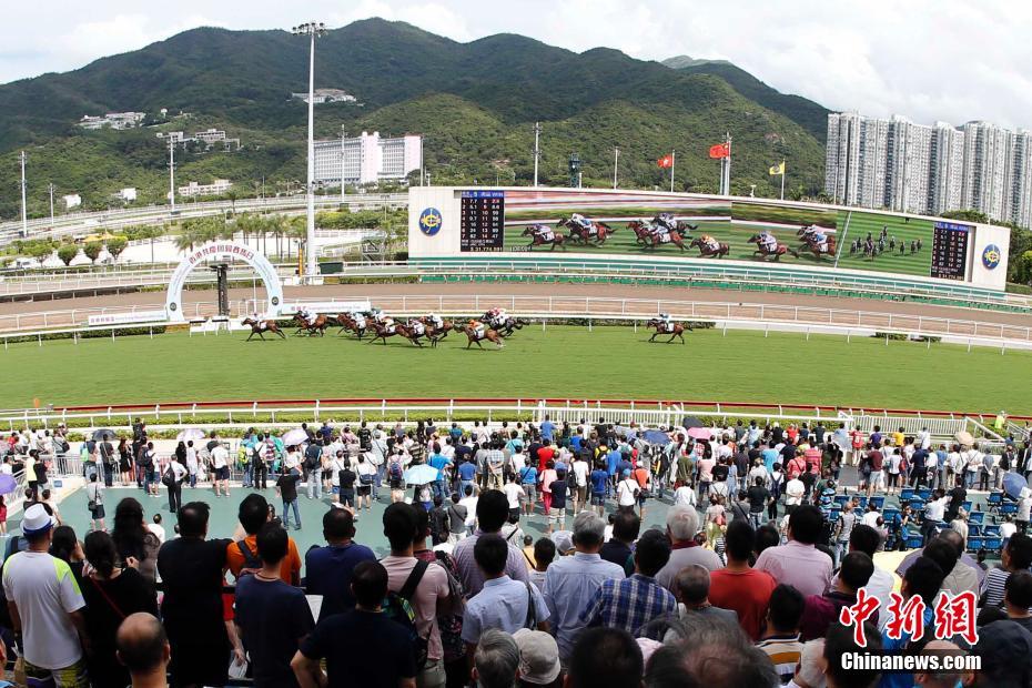 探索香港赛马会免费资料网的无限可能香港赛马会资料