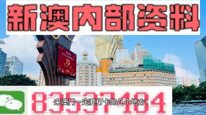 精准预测未来，新澳204年期待的智慧与机遇2020年澳门新版资料