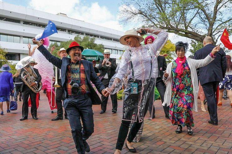 2019年香港马内部免费资料，揭秘赛马的背后与真相香港马资料大全2019