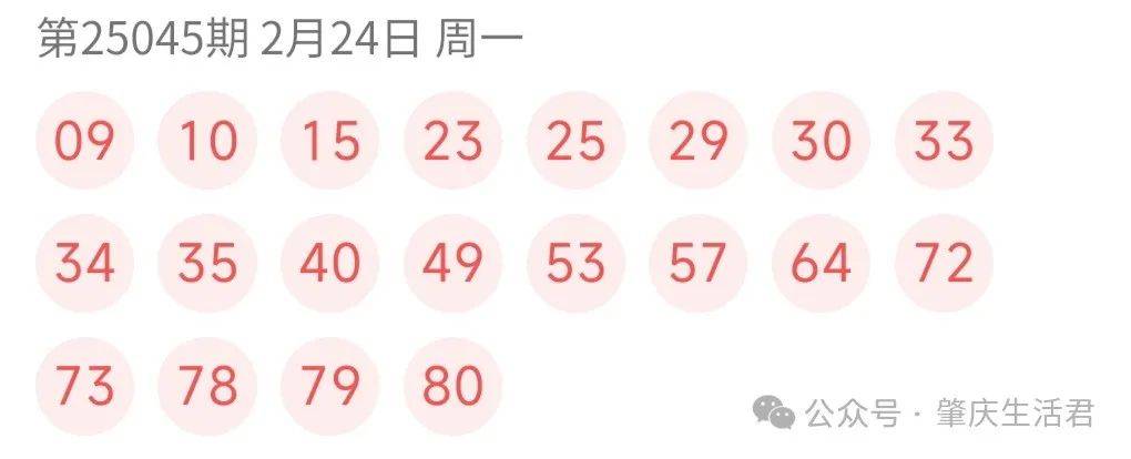 新澳2046今晚开奖结果揭秘与理性看待彩票新澳2024今晚开奖结果查询