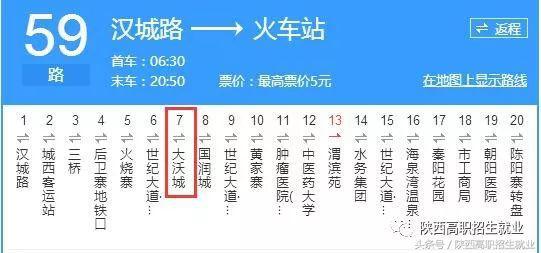 澳门三肖四码精准预测，揭秘背后的数字游戏与概率学澳门三肖三码期期必中