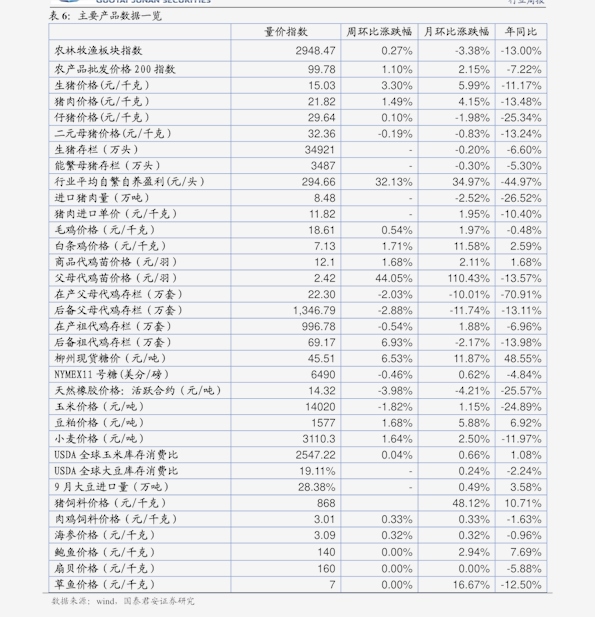 203年/历史