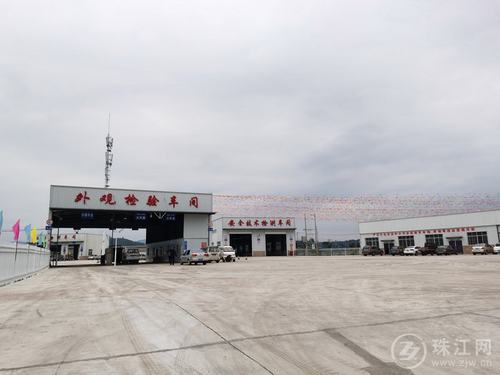广西12530，打造乡村振兴新引擎的数字平台广西125
