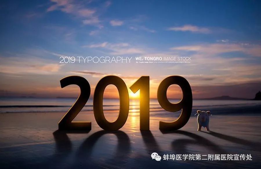 2036年香港正版资料大全，全面解析与未来展望2022年香港正版资料大全经典版