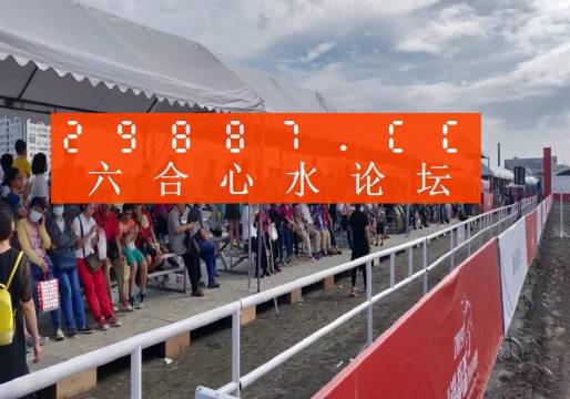 新奥门310期至最新消息，深度解析与视频回顾澳门113期开什么
