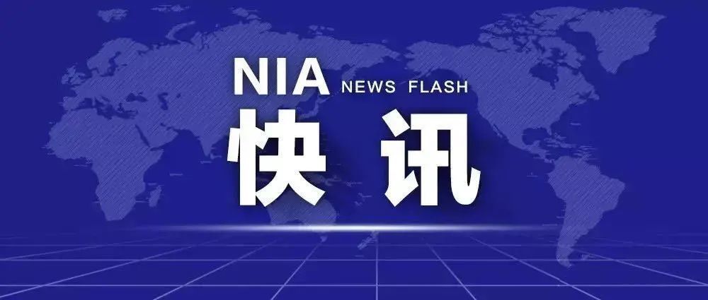 探索新奥门彩票资料下载网站的最佳版本新澳门网