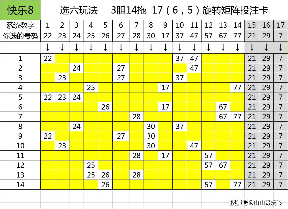 探索新奥门彩开奖记录的尾数，深度解析与查看方法新奥门彩开奖记录尾数是多少期啊怎么看
