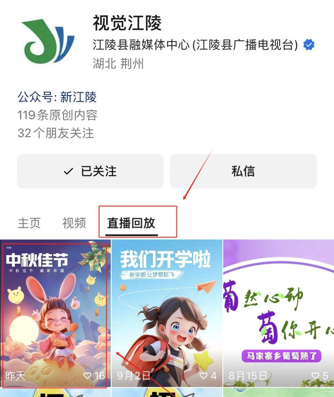 探索新奥门开奖直播网站的精彩视频，不容错过的视觉盛宴新澳门开奖直播